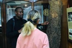 CITY-WALKING-TOUR-10